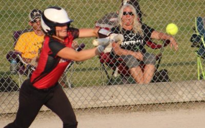 McKay No-hitter helps NM to Tourney Win Over Keota