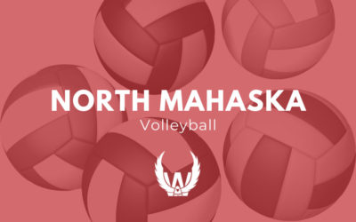 NM Falls to HLV